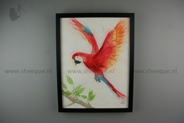aquarel schilderij macaw 